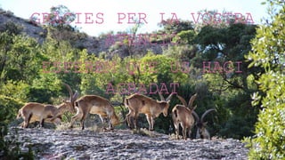 GRÀCIES PER LA VOSTRA
ATENCIÓ
ESPEREM QUE US HAGI
AGRADAT
 