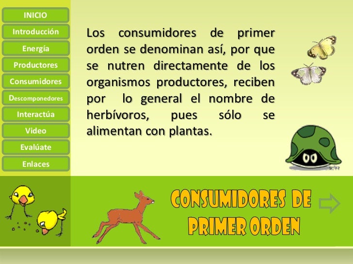 La cadena alimenticia