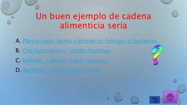 juego cadena alimentaria online juego acerca de la cadena alimenticia juego cadena alimentaria online juego acerca de la cadena alimenticia