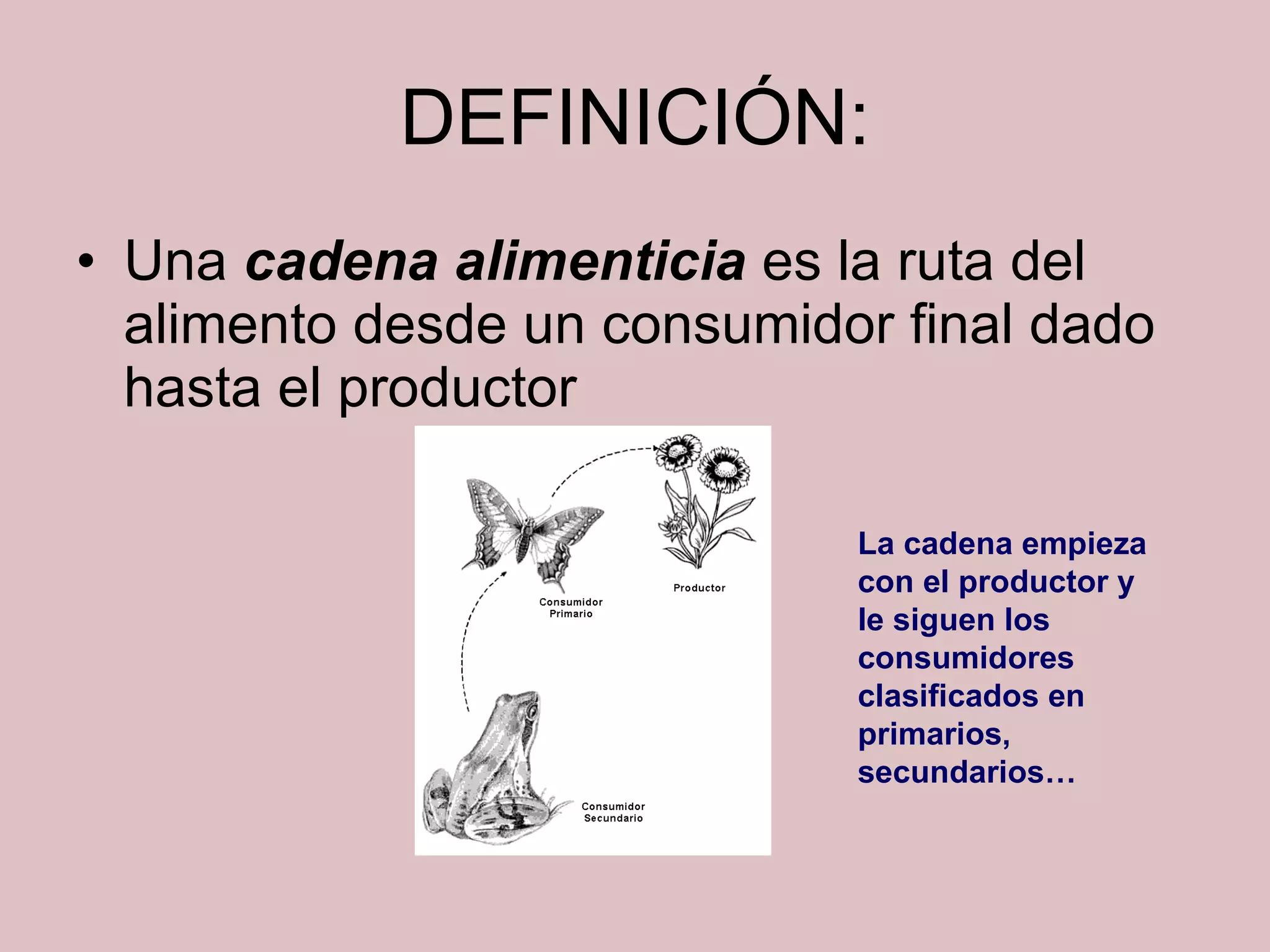 La cadena trófica o alimentaria | PPT