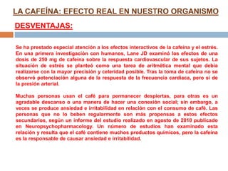 LA CAFEÍNA: EFECTO REAL EN NUESTRO ORGANISMO
DESVENTAJAS:
Se ha prestado especial atención a los efectos interactivos de la cafeína y el estrés.
En una primera investigación con humanos, Lane JD examinó los efectos de una
dosis de 250 mg de cafeína sobre la respuesta cardiovascular de sus sujetos. La
situación de estrés se planteó como una tarea de aritmética mental que debía
realizarse con la mayor precisión y celeridad posible. Tras la toma de cafeína no se
observó potenciación alguna de la respuesta de la frecuencia cardíaca, pero sí de
la presión arterial.
Muchas personas usan el café para permanecer despiertas, para otras es un
agradable descanso o una manera de hacer una conexión social; sin embargo, a
veces se produce ansiedad e irritabilidad en relación con el consumo de café. Las
personas que no lo beben regularmente son más propensas a estos efectos
secundarios, según un informe del estudio realizado en agosto de 2010 publicado
en Neuropsychopharmacology. Un número de estudios han examinado esta
relación y resulta que el café contiene muchos productos químicos, pero la cafeína
es la responsable de causar ansiedad e irritabilidad.
 