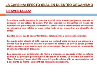 LA CAFEÍNA: EFECTO REAL EN NUESTRO ORGANISMO
DESVENTAJAS:
La cafeína puede aumentar la presión arterial hasta niveles peligrosos cuando se
consume en un estado de estrés. Por ello, quienes se encuentran en riesgo de
hipertensión, por cualquier circunstancia, deben reducir drásticamente el consumo
de alimentos con cafeína o teína, sobre todo si se encuentran en situación de
estrés.
En altas dosis, puede causar temblores, palpitaciones y dolores de estómago.
Se puede sufrir alergia al café, aunque en realidad sería alergia a los azúcares y
aceites que se producen durante el proceso de tostado ya que se puede generar
toxinas o mohos que son los que provocan alergia. Por esta razón se recomienda
el café de producción orgánica.
Las personas con deficiencias de hierro a menudo se aconseja evitar la cafeína
debido a su potencial para reducir la absorción de hierro. Un estudio publicado en
"Food Chemistry" en el año 2004 encontró que la cafeína sólo se une alrededor del
6 por ciento de hierro - una cantidad relativamente pequeña.
 