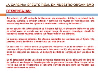 LA CAFEÍNA: EFECTO REAL EN NUESTRO ORGANISMO
DESVENTAJAS:
Así mismo, el café estimula la liberación de adrenalina, inhibe la actividad de la
insulina, aumenta la presión arterial y aumenta los niveles de homocisteina, una
sustancia química nociva ligada a la enfermedad cardíaca y la demencia.
En un estudio de la Universidad de Carolina del Sur, el consumo excesivo de café
en edad joven se asocia con un mayor riesgo de muerte prematura, siendo la
incidencia en las mujeres jóvenes aún mayor que en los hombres.
La cafeína provoca adicción, los efectos excitantes se suavizan con el hábito y la
persona tendrá tendencia a tomar cada vez más de café.
El consumo de cafeína causa una pequeña disminución en la absorción de calcio,
pero no influye significativamente en la tasa de excreción de calcio por los riñones
si no se consume en exceso. La pequeña pérdida se compensa con un poco de
leche.
En la actualidad, existe un amplio consenso médico de que el consumo de café no
es un factor de riesgo en la osteoporosis en personas con una dieta rica en calcio.
Por lo que no se recomienda el consumo elevado de café para las mujeres que
tienen deficiencia de calcio.
 