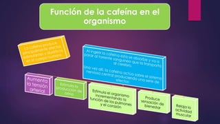 Función de la cafeína en el
organismo
 