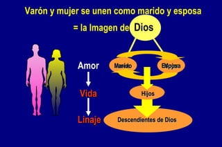 Varón y mujer se unen como marido y esposa   = la Imagen de  Dios Amor Vida Linaje Varón Mujer Marido Esposa Hijos Descendientes de Dios 