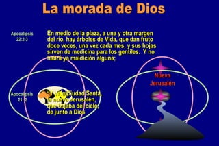 La morada de Dios En medio de la plaza, a una y otra margen del río, hay árboles de Vida, que dan fruto doce veces, una vez cada mes; y sus hojas sirven de medicina para los gentiles.  Y no habrá ya maldición alguna;  Apocalipsis 22:2-3 Nueva Jerusalén “ Y vi la Ciudad Santa,  la nueva Jerusalén,  que bajaba del cielo,  de junto a Dios   Apocalipsis 21: 2 