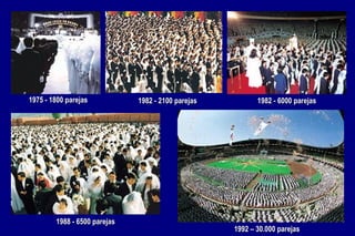 1975 - 1800 parejas 1982 - 2100 parejas 1982 - 6000 parejas 1988 - 6500 parejas 1992 – 30.000 parejas 