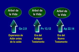Esperanza de Ad á n antes de la caída Era del Antiguo Testamento Gn 2.9 Pv 13.12 Arbol de la Vida Arbol de la Vida Arbol de la Vida Era del Nuevo Testamento Ap 22.14 