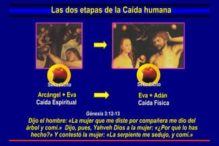 Las dos etapas de la Caída humana Eva + Adán Arcángel + Eva Caída Espiritual Caída Física Génesis  3:12-13 Dijo el hombre: «La mujer que me diste por compañera me dio del árbol y comí.»  Dijo, pues, Yahveh Dios a la mujer: «¿Por qué lo has hecho?» Y contestó la mujer: «La serpiente me sedujo, y comí.» Sexo ilícito Sexo ilícito 