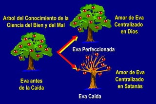Amor de Eva Centralizado  en Dios Eva antes de la Caída Arbol del Conocimiento de la Ciencia del Bien y del Mal Amor de Eva Centralizado  en Satanás Eva Perfeccionada Eva Caída 