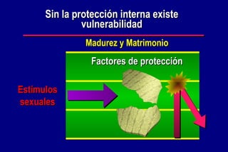 Sin la protección interna existe vulnerabilidad Madurez y Matrimonio Factores de protección Estímulos sexuales 