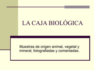 LA CAJA BIOLÓGICA Muestras de origen animal, vegetal y mineral, fotografiadas y comentadas. 