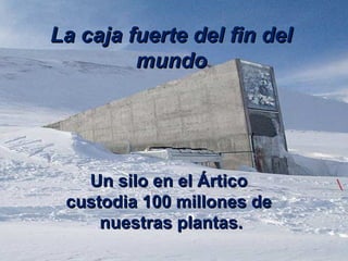 La caja fuerte del fin delLa caja fuerte del fin del
mundomundo
Un silo en el ÁrticoUn silo en el Ártico
custodia 100 millones decustodia 100 millones de
nuestras plantas.nuestras plantas.
 