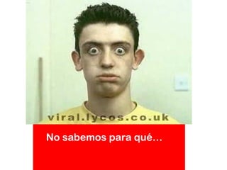 No sabemos para qué…
 