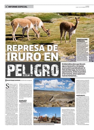 4 INFORME ESPECIAL LA CALLE
LUNES 7 DE SETIEMBRE DEL 2015
S
i pagan, constru-
yen;sinopagan,no
construyen”, nos
diceTeófiloMitma
montadoenuncaballoco-
lorcarameloqueleayudaa
arrearsuganado.Másallá,
BlácidoSolisnosreafirma
quenosemuevendeahíhas-
taquenolespaguenlajus-
taretribuciónporcedersus
tierras.Ellospisanunterre-
noinmenso,agreste,duro,
queseencuentraacercade
4milmetrosdealtura,alsur
delaRegiónAyacucho,Pro-
vinciadeLucanas,lacapital
delavicuña,yquevepasar
lasaguasdelríoIruro.Teó-
filoMitma,juntoconotras
5familias,tienenposesión
ancestraldelazona,donde
pastansuscarneros,vacasy,
porsupuesto,vicuñas
Eneseterritoriosecons-
truiráunaenormerepresa
deagua,concanalesque
llevaránellíquidoelemen-
tonosoloaLucanas,sinoa
pueblosdeArequipacomo
Bellaunión,Acarí,etc,cuyas
actividadesprincipalesson
laagriculturayganadería.
RamónEspejoCastañeda PeriodistadeInvestigación
Debidoasuimportancia,el
denominado‘ProyectoAca-
rí–BellaUniónIIEtapadela
construccióndelarepresa
Iruro’fuedeclaradode“ne-
cesidadpúblicayprioridad
nacional”porelCongresode
laRepública,yaqueademás
veníasiendopostergadodes-
deladécadadelos80,cuan-
doelterrorismoimpidiósu
ejecución.
DEADELANTE
HACIAATRÁS
ElMinisteriodeAgricultu-
ra,atravésdelProgramaSub-
sectorialdeIrrigación(PSI),
asumióelproyectoconun
presupuestode95millones
desoles,firmandounconve-
nioconelGobiernoRegional
deAyacuchoparaqueseen-
carguedelaelaboracióndel
expedientetécnicoyotorgue
losrespectivostítulosdepro-
piedadalasfamiliasposesio-
nariasafindequepuedanne-
gociarsuexpropiación.Lalici-
taciónparalaconstrucciónla
obtienelaempresaAldesayse
dainicioaunaobratanespe-
radacomoimportanteparala
“
REPRESA DE
IRURO EN
peligro
Emblemáticaobraquellevará
aguaaAyacuchoyArequipa
seencuentraparalizadaporla
faltadeliderazgo,burocraciay
oportunismo.Anteslaparalizó
elterrorismo,ahoraaparecen
nuevosfantasmas…
sierrasurdelPerú.Todoque-
dabalisto,perolosproblemas
notardaríanenaparecer…
AsícomoTeófiloMitma,
ningunadelasfamiliasha
recibidoeldinerocorrespon-
dienteporsusterrenoscomo
partedelsaneamientofísico
legal.Tampocohanrecibido
sustítulosdepropiedadypor
ellonopuedeninscribirsus
tierrasenRegistrosPúblicos.
Luegodecasiunañodefir-
madoelcontrato,ysintiendo
undesinterésdelEstadoen
solucionarsusituación,ellos
decidieronimpedirlaconti-
nuidaddelostrabajoslevan-
tandomurosdepiedrasenlos
caminosyaccesosalterreno.
LaempresaAldesaparalizóla
construccióndeinmediatoy
comenzólarondadeculpas
entrelosresponsables.
¿QUIÉNMIENTE?
El ingeniero Pedro Va-
lenciaSulcaeselDirectorde
infraestructuradeRiegodel
PSI.Lobuscamosy,segúnél,
laparalizacióndelasobrases
injustificadayaseguracon
totalconvicciónhabercons-
tatadoquenohayrechazoala
ejecucióndelaobraporparte
delospropietarios.Incluso
nosmuestraunactafirma-
daporalgunosdeellosdonde
acuerdandarfacilidadesala
continuidaddelasobras.Lue-
godeeseacuerdo,elPSIha
cursandounacartanotariala
Aldesaindicandoquedebere-
tomarlostrabajosenelbreve
plazoporquelosmotivospara
laparalizaciónnosonjustifi-
cadosynopuedehacersede
maneraunilateral.
Peroestaversióndefiniti-
COMITIVAPIDE
AUDIENCIA
LasautoridadesdeAcarí,
BellaUniónyLucanas
solicitaronunareunióncon
elMinistrodeAgricultura.
Fueroncitadosenlas
oficinasdeAgroRuralpara
elviernesúltimo,aunque
nielministronielvice
ministropudieronatender
aestacomitiva.Unemisario
losrecibióynohuboacceso
alaprensapor‘faltade
espacio’.Losescucharon
yprometierongestionar
solucionesprontamente.
Todoeste
territorioestará
cubiertodeagua
MaquinariaqueseencuentraparalizadaenIruro
 