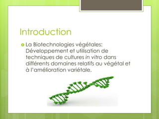 Introduction
 La Biotechnologies végétales:
Développement et utilisation de
techniques de cultures in vitro dans
différents domaines relatifs au végétal et
à l’amélioration variétale.
 