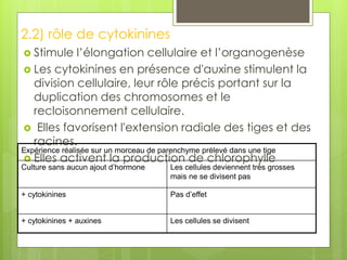 2.2) rôle de cytokinines
 Stimule l’élongation cellulaire et l’organogenèse
 Les cytokinines en présence d'auxine stimulent la
division cellulaire, leur rôle précis portant sur la
duplication des chromosomes et le
recloisonnement cellulaire.
 Elles favorisent l'extension radiale des tiges et des
racines.
 Elles activent la production de chlorophylle
Expérience réalisée sur un morceau de parenchyme prélevé dans une tige
Culture sans aucun ajout d’hormone Les cellules deviennent très grosses
mais ne se divisent pas
+ cytokinines Pas d’effet
+ cytokinines + auxines Les cellules se divisent
 