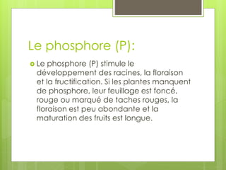 Le phosphore (P):
 Le phosphore (P) stimule le
développement des racines, la floraison
et la fructification. Si les plantes manquent
de phosphore, leur feuillage est foncé,
rouge ou marqué de taches rouges, la
floraison est peu abondante et la
maturation des fruits est longue.
 