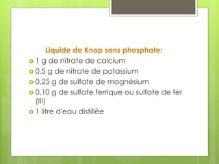 Liquide de Knop sans phosphate:
 1 g de nitrate de calcium
 0,5 g de nitrate de potassium
 0,25 g de sulfate de magnésium
 0,10 g de sulfate ferrique ou sulfate de fer
(III)
 1 litre d'eau distillée
 