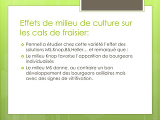 Effets de milieu de culture sur
les cals de fraisier:
 Pennell a étudier chez cette variété l’effet des
solutions MS,Knop,B5,Heller… et remarqué que :
 Le milieu Knop favorise l’apparition de bourgeons
individualisés
 Le milieu MS donne, au contraire un bon
développement des bourgeons axilliaires mais
avec des signes de vitrifivation.
 