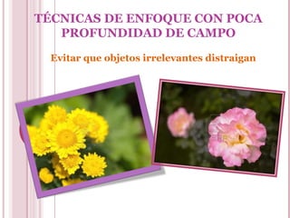 TÉCNICAS DE ENFOQUE CON POCA
PROFUNDIDAD DE CAMPO
Evitar que objetos irrelevantes distraigan

 