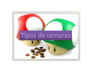 La Camara Fotografica
