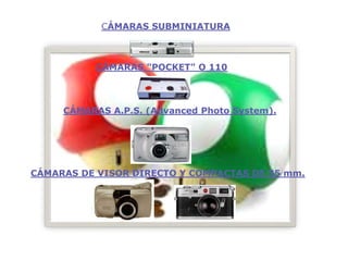 La Camara Fotografica