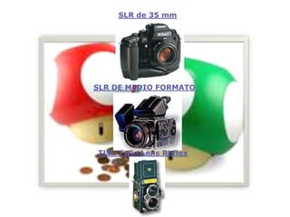 La Camara Fotografica