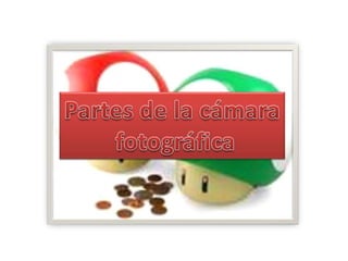 La Camara Fotografica