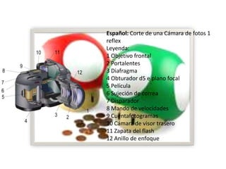 La Camara Fotografica