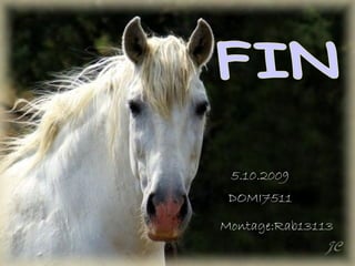 5.10.2009
 DOMI7511

Montage:Rab13113
 