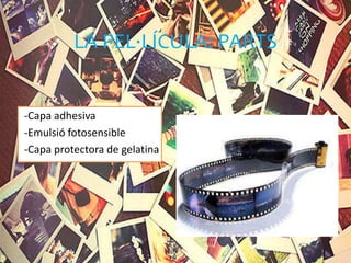 LA PEL·LÍCULA: PARTS
-Capa adhesiva
-Emulsió fotosensible
-Capa protectora de gelatina
 