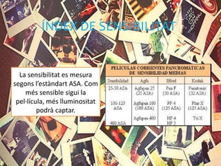 ÍNDEX DE SENSIBILITAT
La sensibilitat es mesura
segons l’estàndart ASA. Com
més sensible sigui la
pel·lícula, més lluminositat
podrà captar.
 
