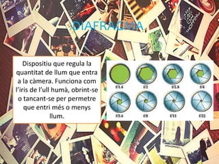 DIAFRAGMA
Dispositiu que regula la
quantitat de llum que entra
a la càmera. Funciona com
l’iris de l’ull humà, obrint-se
o tancant-se per permetre
que entri més o menys
llum.
 