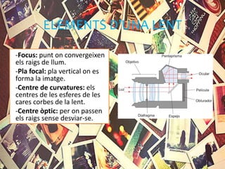 ELEMENTS D’UNA LENT
-Focus: punt on convergeixen
els raigs de llum.
-Pla focal: pla vertical on es
forma la imatge.
-Centre de curvatures: els
centres de les esferes de les
cares corbes de la lent.
-Centre òptic: per on passen
els raigs sense desviar-se.
 
