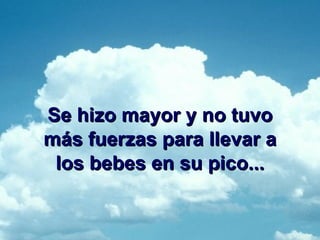 Se hizo mayor y no tuvo más fuerzas para llevar a los bebes en su pico...