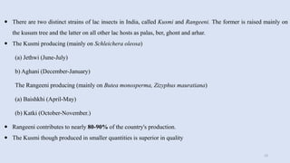  There are two distinct strains of lac insects in India, called Kusmi and Rangeeni. The former is raised mainly on
the kusum tree and the latter on all other lac hosts as palas, ber, ghont and arhar.
 The Kusmi producing (mainly on Schleichera oleosa)
(a) Jethwi (June-July)
b) Aghani (December-January)
The Rangeeni producing (mainly on Butea monosperma, Zizyphus mauratiana)
(a) Baishkhi (April-May)
(b) Katki (October-November.)
 Rangeeni contributes to nearly 80-90% of the country's production.
 The Kusmi though produced in smaller quantities is superior in quality
13
 