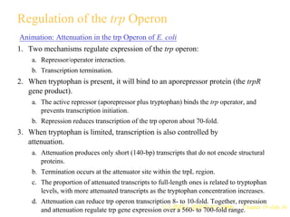 Gene expression in bacteria and bacteriophages | PPT