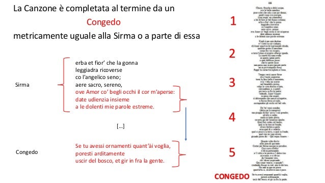 Seconda Parte Della Strofa Nella Canzone Petrarchesca La canzone petrarchesca