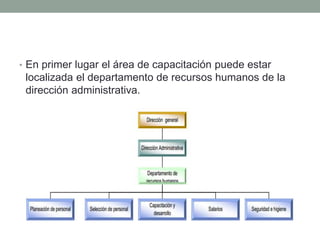 • En primer lugar el área de capacitación puede estar 
localizada el departamento de recursos humanos de la 
dirección administrativa. 
 