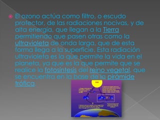El ozono actúa como filtro, o escudo protector, de las radiaciones nocivas, y de alta energía, que llegan a la Tierra permitiendo que pasen otras como la ultravioleta de onda larga, que de esta forma llega a la superficie. Esta radiación ultravioleta es la que permite la vida en el planeta, ya que es la que permite que se realice la fotosíntesis del reino vegetal, que se encuentra en la base de la pirámide trófica.