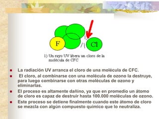  La radiación UV arranca el cloro de una molécula de CFC.
 El cloro, al combinarse con una molécula de ozono la destruye,
para luego combinarse con otras moléculas de ozono y
eliminarlas.
 El proceso es altamente dañino, ya que en promedio un átomo
de cloro es capaz de destruir hasta 100.000 moléculas de ozono.
 Este proceso se detiene finalmente cuando este átomo de cloro
se mezcla con algún compuesto químico que lo neutraliza.
 