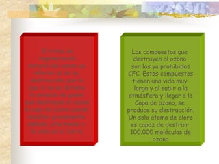 El ritmo de
regeneración
natural del ozono es
inferior al de su
destrucción, por lo
que si no se detiene
la emisión de gases
que destruyan el ozono
la capa de ozono puede
resultar gravemente
dañada, afectando a
la vida en la tierra
Los compuestos que
destruyen al ozono
son los ya prohibidos
CFC. Estos compuestos
tienen una vida muy
larga y al subir a la
atmósfera y llegar a la
Capa de ozono, se
produce su destrucción.
Un solo átomo de cloro
es capaz de destruir
100.000 moléculas de
ozono
 