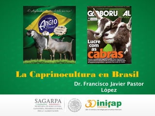 La Caprinocultura en Brasil
Dr. Francisco Javier Pastor
López
 