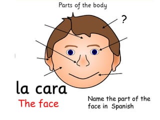 ?




           Name the part of the
The face   face in Spanish
 
