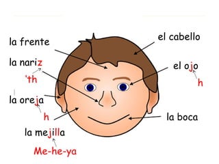 el cabello
la frente

la nariz           el ojo
   ‘th                   h
la oreja
           h      la boca
   la mejilla
     Me-he-ya
 