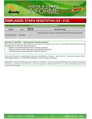 TEMPLADOS: ETAPA VEGETATIVA (V2 - V12)
                                              EVALUACIÓN SPODOPTERA FRUGIPERDA

                                        Escala de
      Híbrido              Lote         Davis 0-9                                        Descripción plaga

                                                           Pequeños agujeros y lesiones circulares presentes en las hojas del cogollo.
DK-190-MG-RR2-T         LE1030304            2




Genuity® VT Triple PRO®: “Triple Protección, Rendimiento Superior”
Es la nueva tecnología de Monsanto® que consiste en la evolución del maíz con tecnología MaízGard® Roundup
Ready2® hacia un camino de mayor rendimiento al:
   ü Mantener una excelente protección frente a Diatraea saccharalis,
   ü Mejorar la protección frente a Helicoverpa zea y Spodoptera frugiperda,
   ü Incorporar protección subterránea frente a Diabrotica speciosa.


Para más información recomendamos la lectura de Boletines Técnicos : Mal de Río IV, Roya de la hoja en Maíz,
Enfermedades foliares y VT Triple PRO ®. Solicítelos a su RTV y/o Asesor Agronómico.


IMPORTANTE: Todas las recomendaciones del informe son orientativas. Los factores externos pueden alterar las condiciones de siembra,
implantación y desarrollo del cultivo además de la aplicación de agroquímicos. Monsanto Argentina S.A.I.C. no asume responsabilidad alguna frente
a cualquier diferencia existente.
 