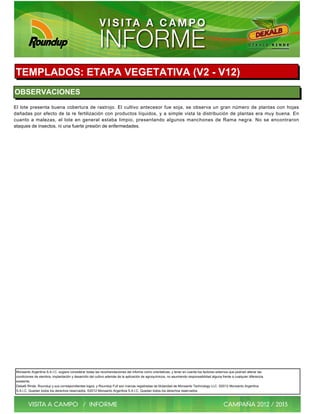 TEMPLADOS: ETAPA VEGETATIVA (V2 - V12)
OBSERVACIONES
El lote presenta buena cobertura de rastrojo. El cultivo antecesor fue soja, se observa un gran número de plantas con hojas
dañadas por efecto de la re fertilización con productos líquidos, y a simple vista la distribución de plantas era muy buena. En
cuanto a malezas, el lote en general estaba limpio, presentando algunos manchones de Rama negra. No se encontraron
ataques de insectos, ni una fuerte presión de enfermedades.




 Monsanto Argentina S.A.I.C. sugiere considerar todas las recomendaciones del informe como orientativas, y tener en cuenta los factores externos que podrían alterar las
 condiciones de siembra, implantación y desarrollo del cultivo además de la aplicación de agroquímicos, no asumiendo responsabilidad alguna frente a cualquier diferencia
 existente.
 Dekalb Rinde, Roundup y sus correspondientes logos, y Roundup Full son marcas registradas de titularidad de Monsanto Technology LLC. ©2012 Monsanto Argentina
 S.A.I.C. Quedan todos los derechos reservados. ©2012 Monsanto Argentina S.A.I.C. Quedan todos los derechos reservados.
 