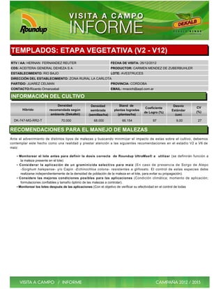 TEMPLADOS: ETAPA VEGETATIVA (V2 - V12)
RTV / AA: HERNAN FERNANDEZ REUTER                                  FECHA DE VISITA: 26/12/2012
CDS: ACEITERA GENERAL DEHEZA S A                                   PRODUCTOR: CARMEN MENDEZ DE ZUBERBUHLER
ESTABLECIMIENTO: RIO BAJO                                          LOTE: AVESTRUCES
DIRECCIÓN DEL ESTABLECIMIENTO: ZONA RURAL LA CARLOTA
PARTIDO: JUAREZ CELMAN                                             PROVINCIA: CORDOBA
CONTACTO:Ricardo Ornanzabal                                        EMAIL: mracich@agd.com.ar

INFORMACIÓN DEL CULTIVO
                              Densidad               Densidad           Stand de                             Desvío
                                                                                          Coeficiente                       CV
       Híbrido           recomendada según          sembrada         plantas logradas                       Estándar
                                                                                         de Logro (%)                       (%)
                          ambiente (Dekalb®)       (semillas/ha)       (plantas/ha)                           (cm)
  DK-747-MG-RR2-T                70.000                68.000             66.154               97              9,00          27

RECOMENDACIONES PARA EL MANEJO DE MALEZAS
Ante el advenimiento de distintos tipos de malezas y buscando minimizar el impacto de estas sobre el cultivo, debemos
contemplar este hecho como una realidad y prestar atención a las siguientes recomendaciones en el estadío V2 a V6 de
maíz:

   • Monitorear el lote antes para definir la dosis correcta de Roundup UltraMax® a                  utilizar (se definirán función a
      la maleza presente en el lote)
   • Considerar la aplicación de un graminicida selectivo para maíz (En caso de presencia de Sorgo de Alepo
      -Sorghum halepense- y/o Capin -Echinochloa colona- resistentes a glifosato. El control de estas especies debe
      realizarse independientemente de la densidad de población de la maleza en el lote, para evitar su propagación).
   • Considere las mejores condiciones posibles para las aplicaciones (Condición climática; momento de aplicación;
      formulaciones confiables y tamaño óptimo de las malezas a controlar).
   • Monitorear los lotes después de las aplicaciones (Con el objetivo de verificar su efectividad en el control de todas
 