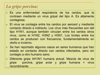 La gripe porcina:Es una enfermedad respiratoria de los cerdos, que la contraen mediante un virus gripal del tipo A. Es altamente contagiosa. El virus se contagia entre los cerdos por aerosol y mediante contacto directo e indirecto. Los virus más frecuentes son del tipo H1N1, aunque también circulan entre los cerdos otros virus, como el H1N2, H3N2 y H3N1. Los brotes entre los cerdos se producen con frecuencia, fundamentalmente en otoño e invierno.Se han reportado algunos casos en seres humanos que han estado en contacto directo con cerdos infectados, pero sin contagio a otro humano sano.Diferente gripe AH1N1 humana actual. Mezcla de virus de gripe  porcina, gripe aviar y gripe humana = virus recombinante.